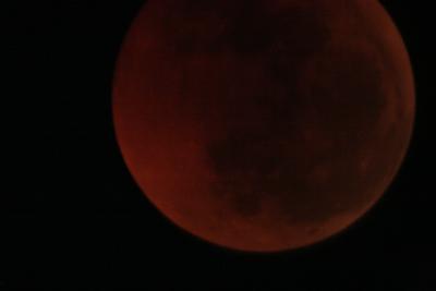 img_8286.jpg